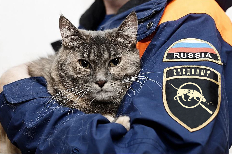 Поиск пропавших животных Следопыт Поиск пропавших животных Следопыт